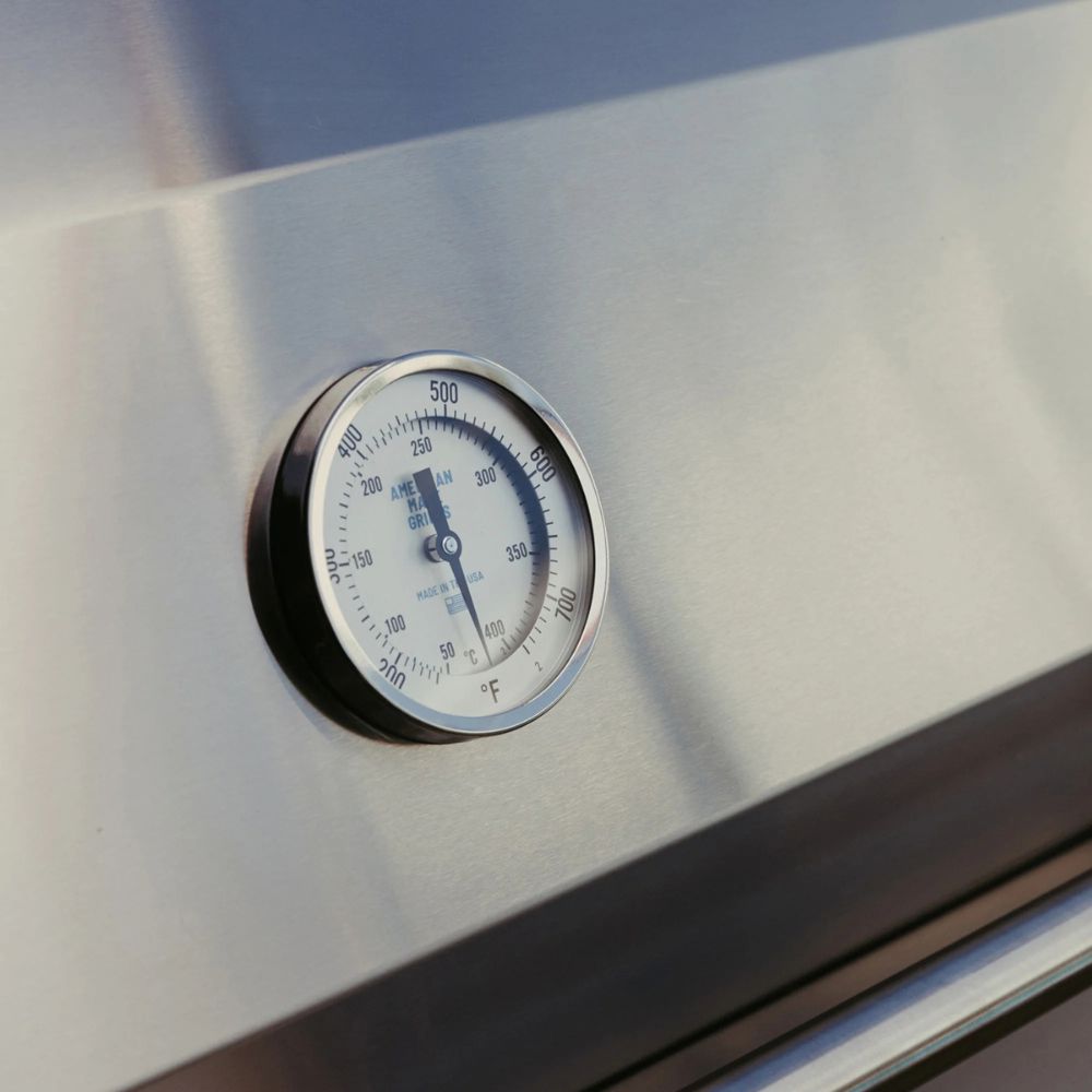 Stainless steel grill with a temperature gauge on a blurred background